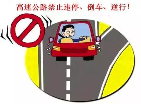 七上八下路繁多，路况不熟易走错打一正确生肖警惕虚假宣传、全面解答与解释、实证解答解释落实